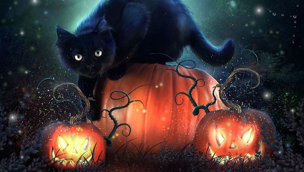 Click to Enlarge-Esc to Close EventPhotos/Halloween/cat 6.jpg
